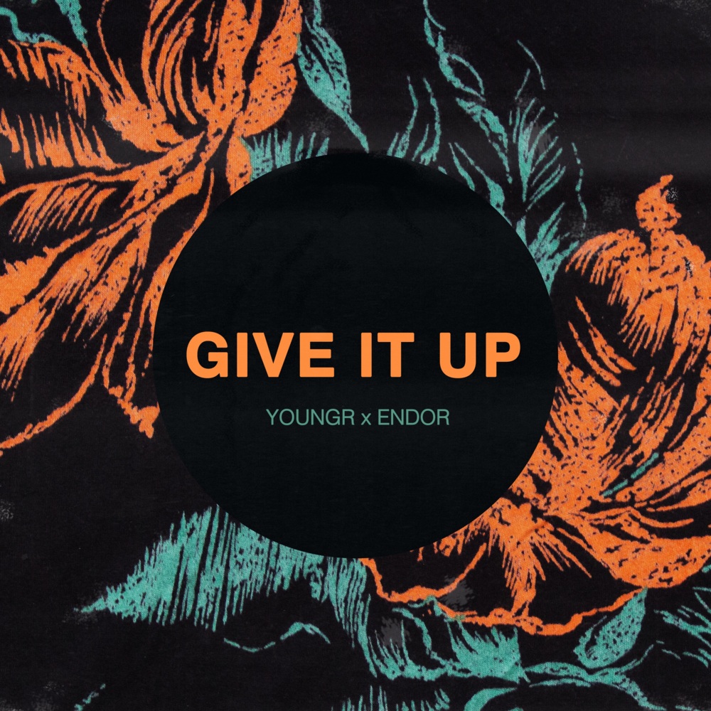 Album cover art for "Give It Up" by Youngr