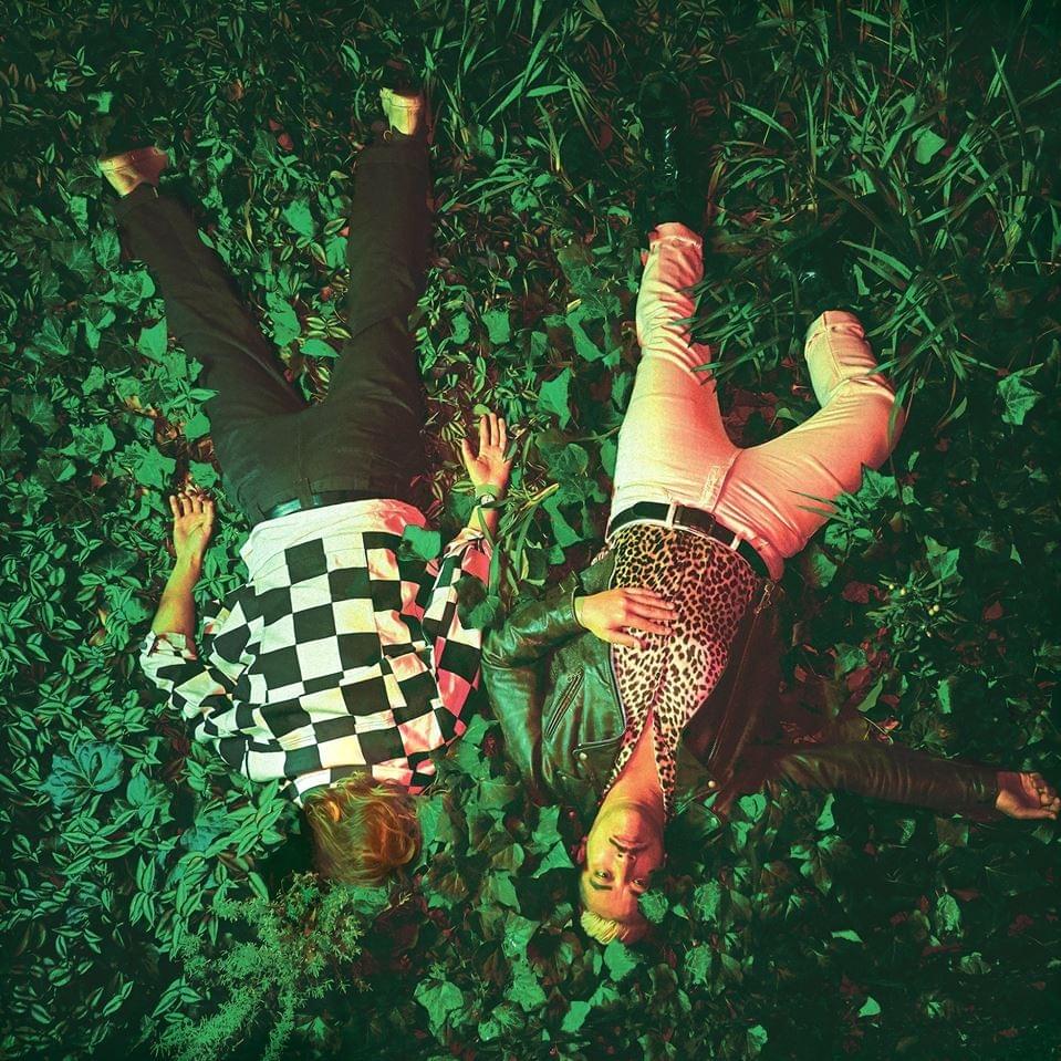 Cover image for Iguana