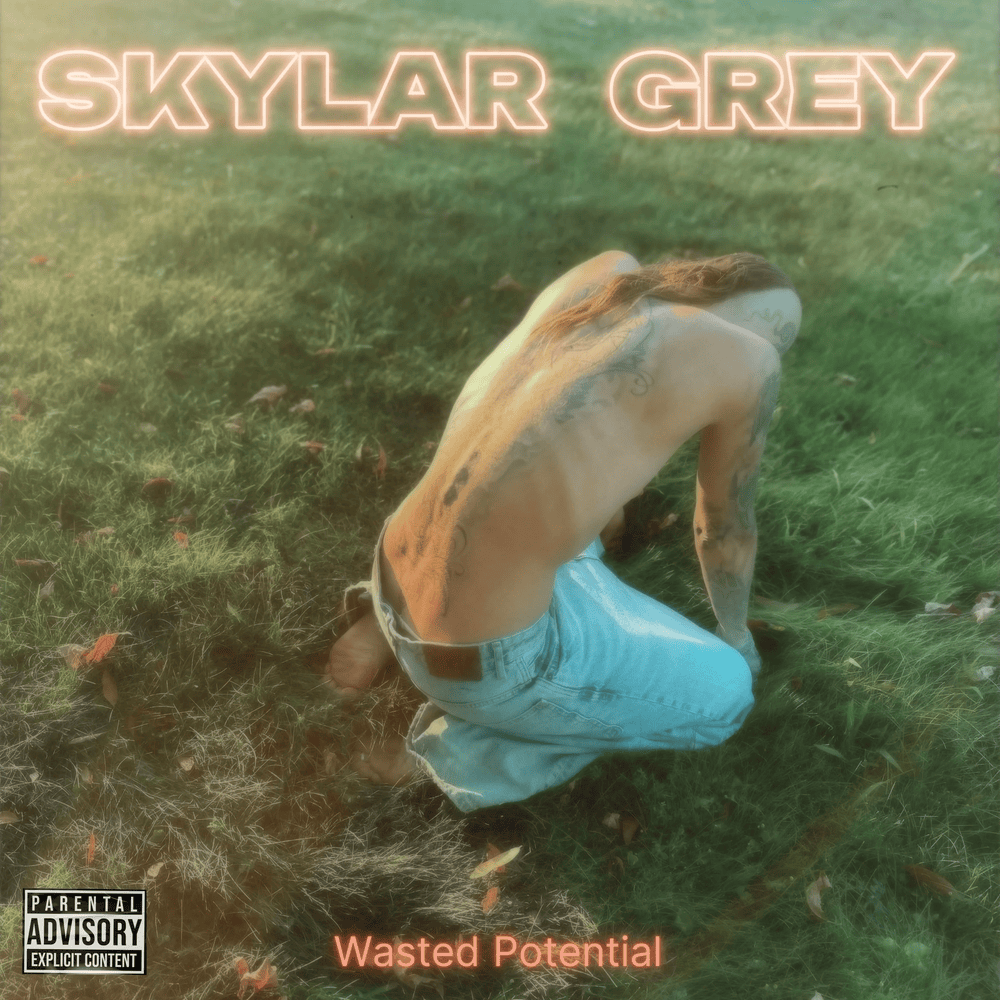 Cover image for Wasted Potential