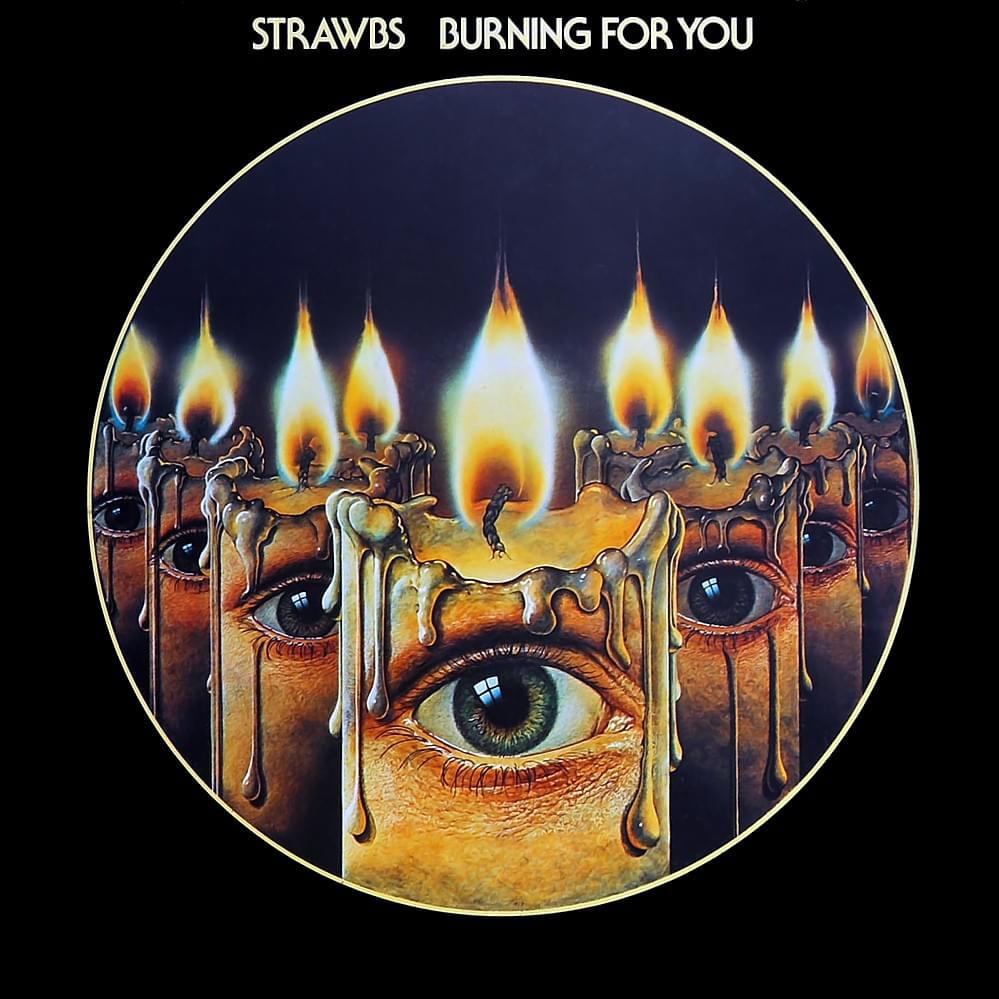 Cover image for Burning for You