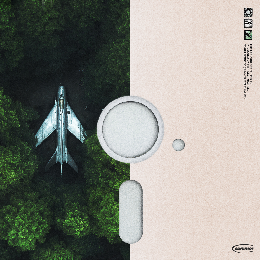 Album cover art for "You Got It" by Trip Lee
