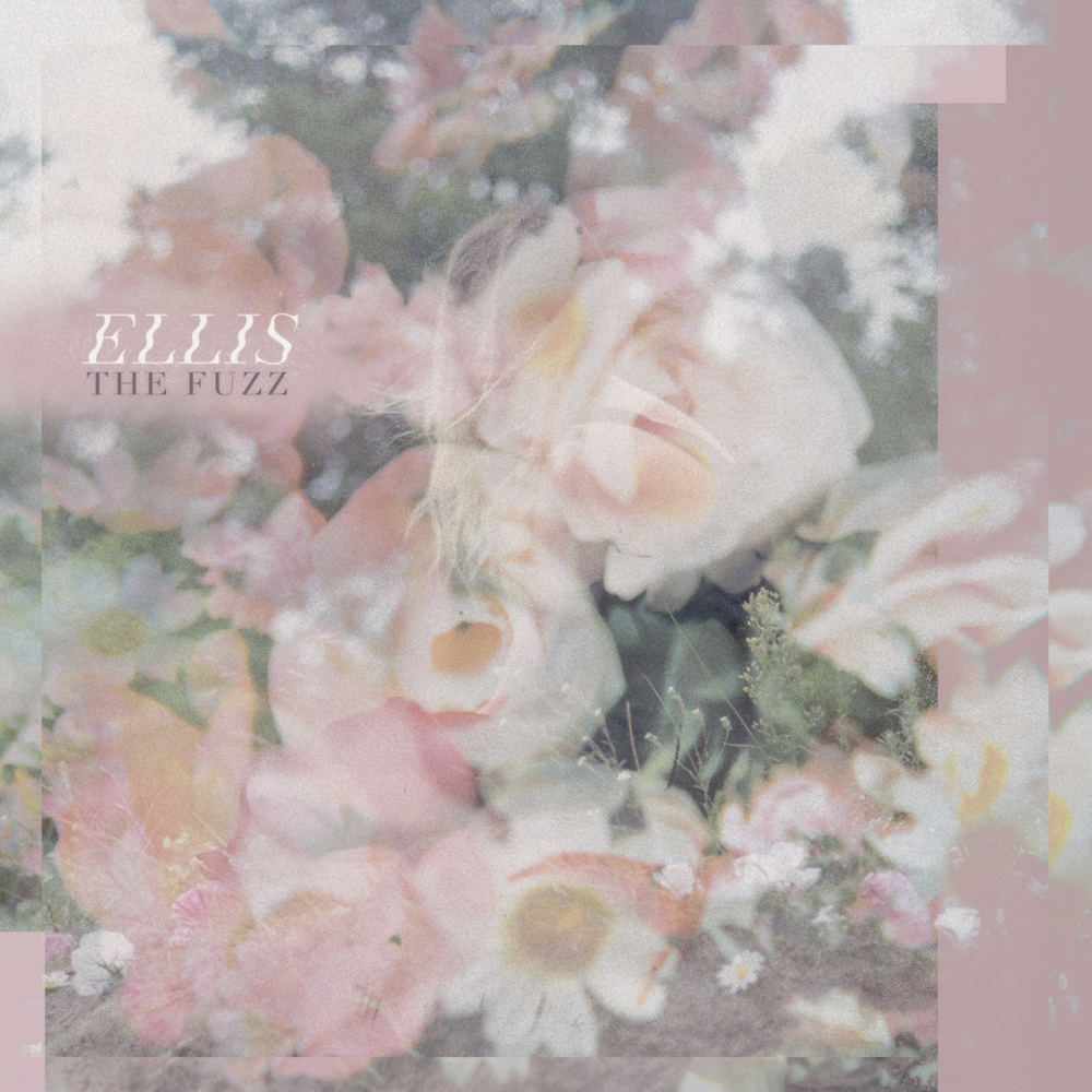 ​the fuzz by ​ellis (Pop)