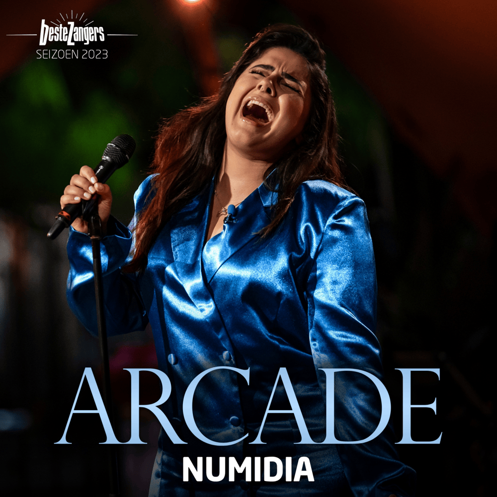 Album cover art for "Arcade" by Numidia