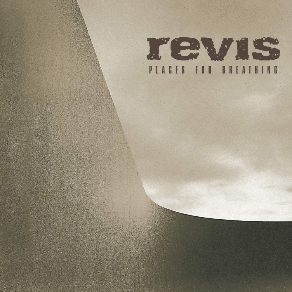 Album cover art for "Caught in the Rain" by Revis