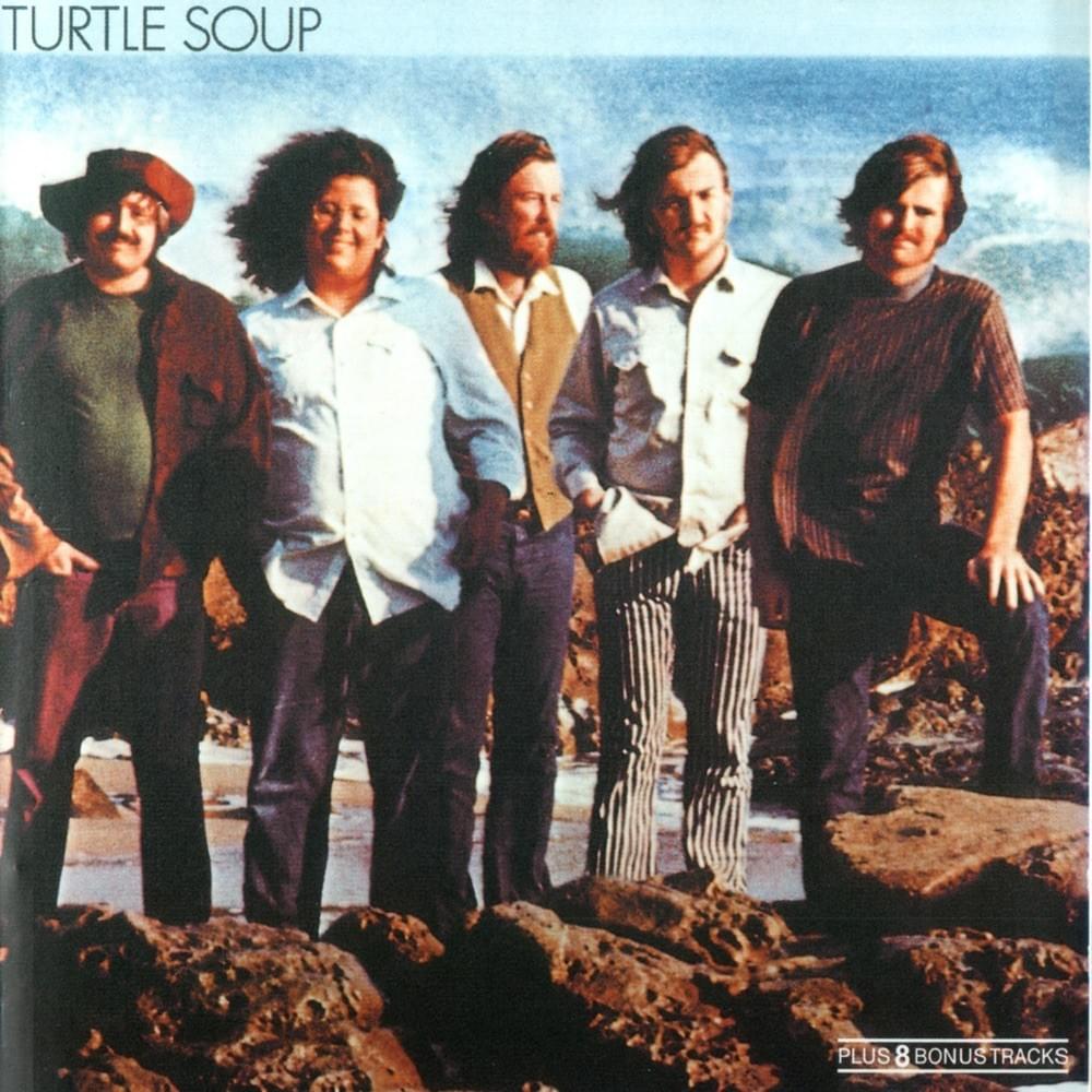 Torn Between Temptations by The Turtles
