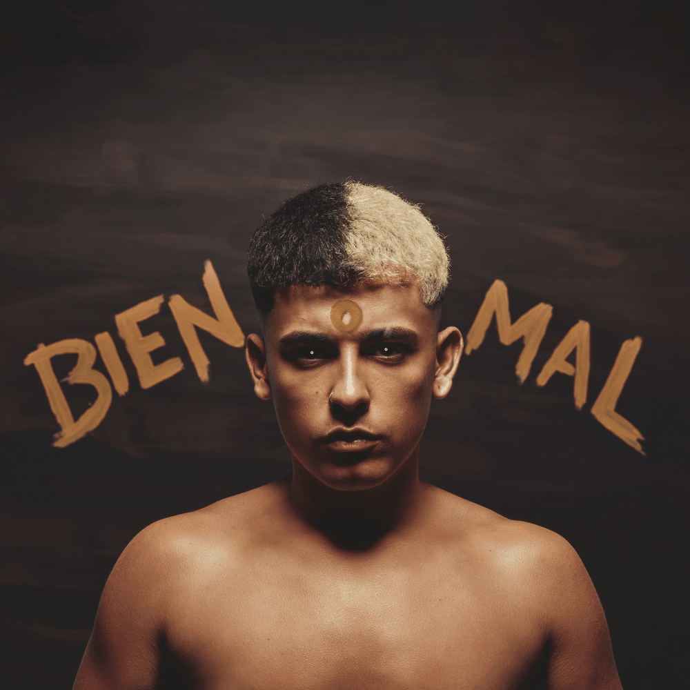 Album cover art for "TIERRA ZANTA" by Trueno