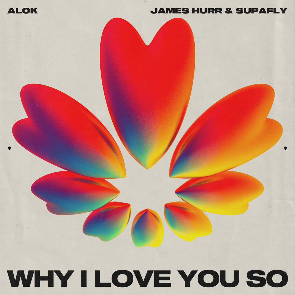 Album cover art for "Why I Love You So" by Bravo Hits