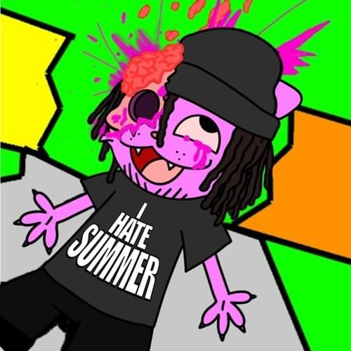 Cover image for i hate summer
