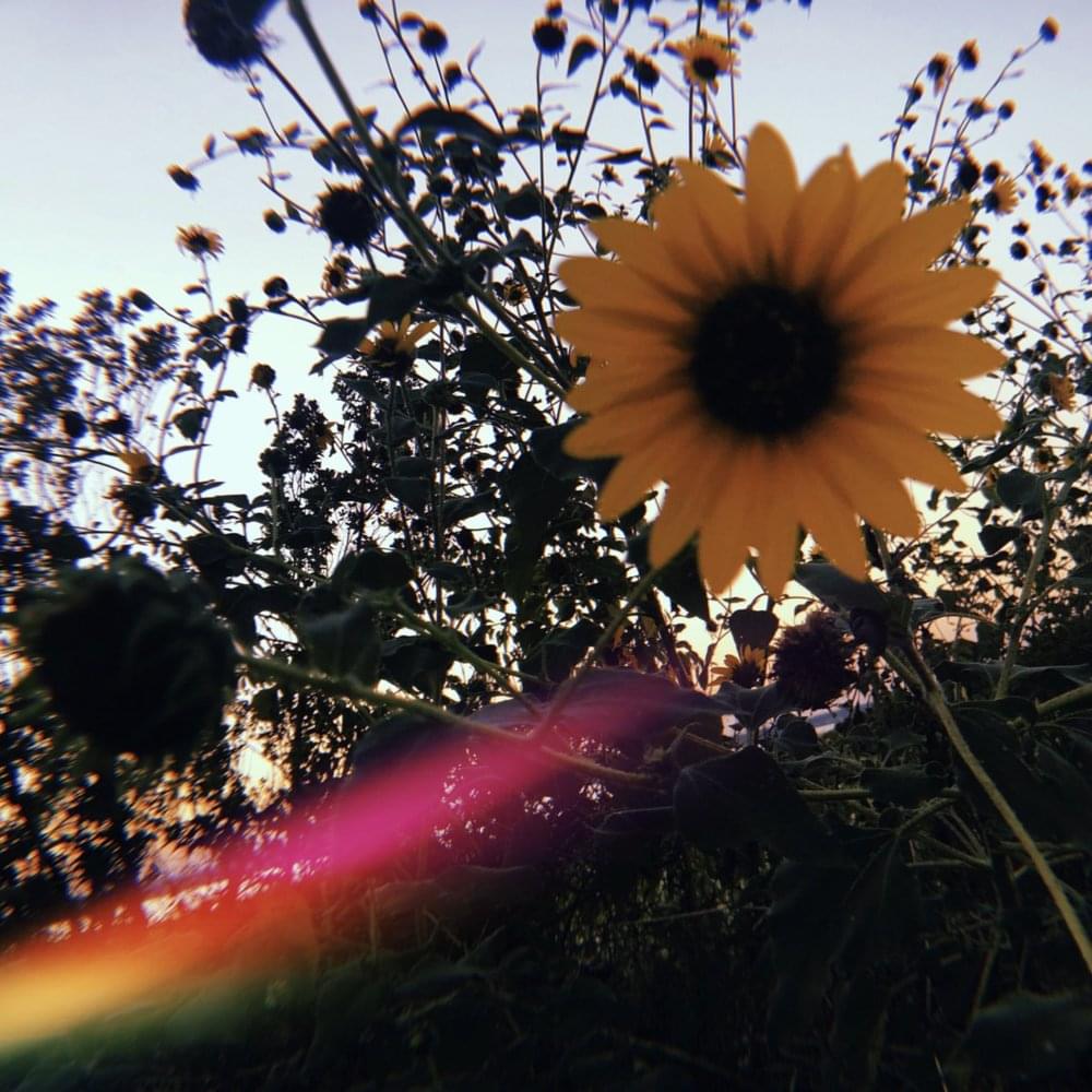 Album cover art for "All the Time" by SoMo
