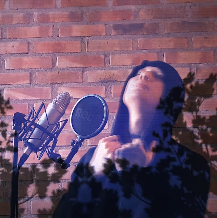 Album cover art for "znowu przestawiam meble" by Deys