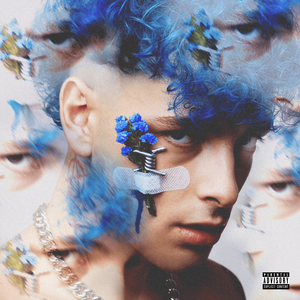 MALDIVITA by Plant