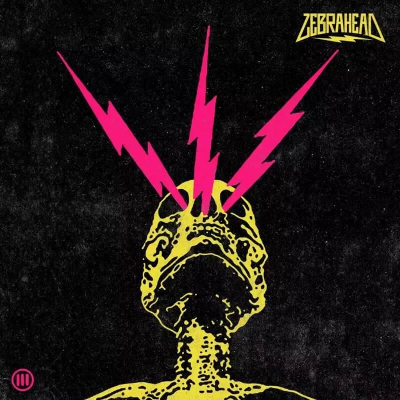 Album cover art for "Homesick for Hope" by Zebrahead