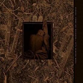 Album cover art for "In Heaven (Live from The Fallout Shelter)" by Pixies