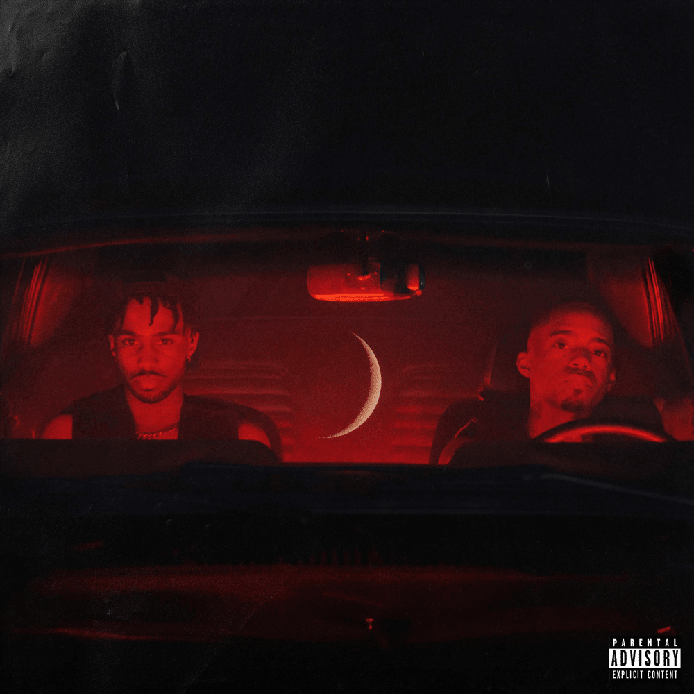 Cover image for Nü Moon