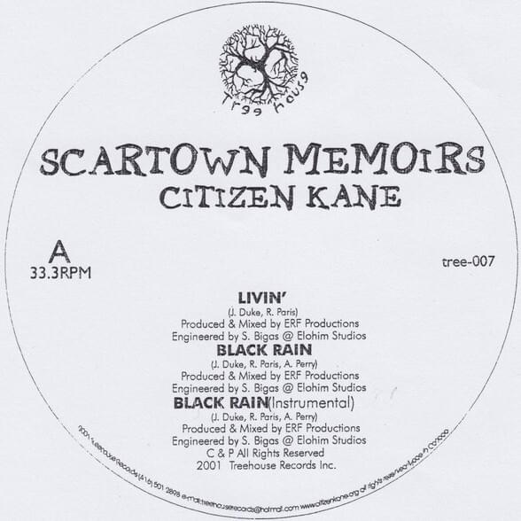 Cover image for Scartown Memoirs