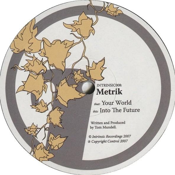 Cover image for Your World / Into The Future