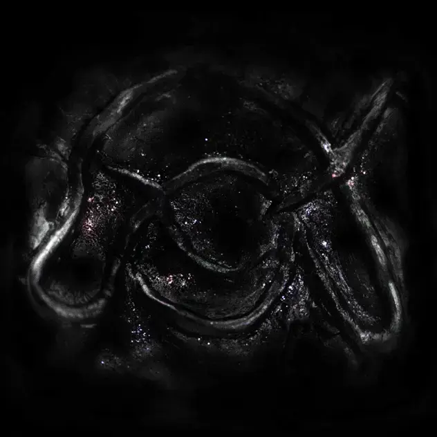 JZBL by Meel B