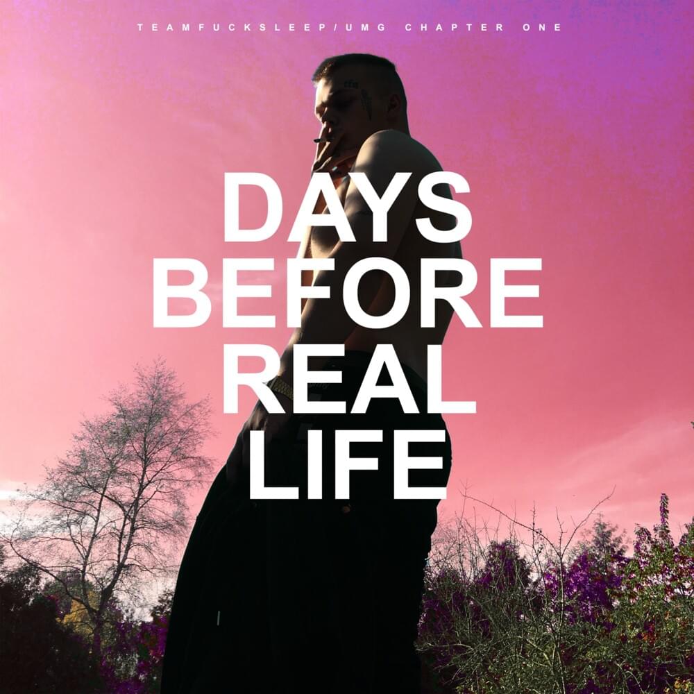 Cover image for Days Before Real Life