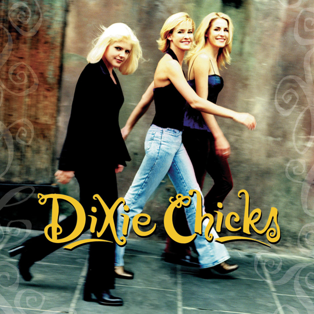 Album cover art for "Never Say Die" by The Chicks