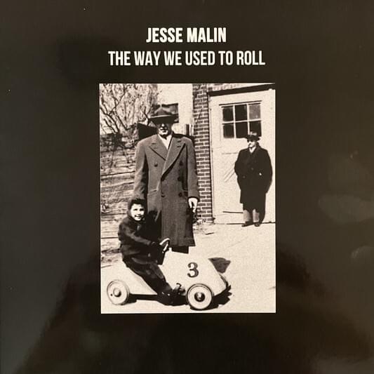 The Way We Used to Roll by Jesse Malin