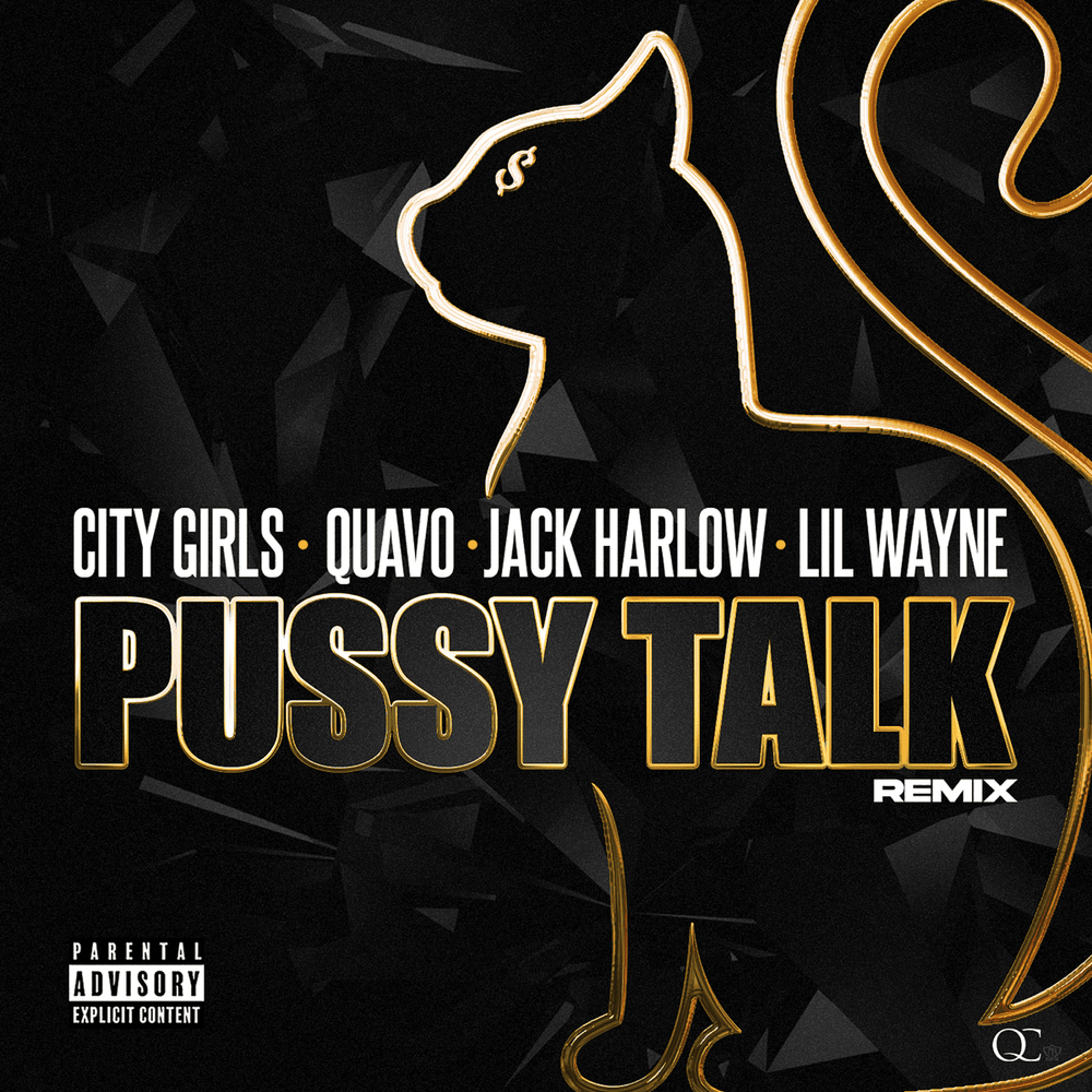 Album cover art for "Pussy Talk (Remix)" by City Girls & Jack Harlow
