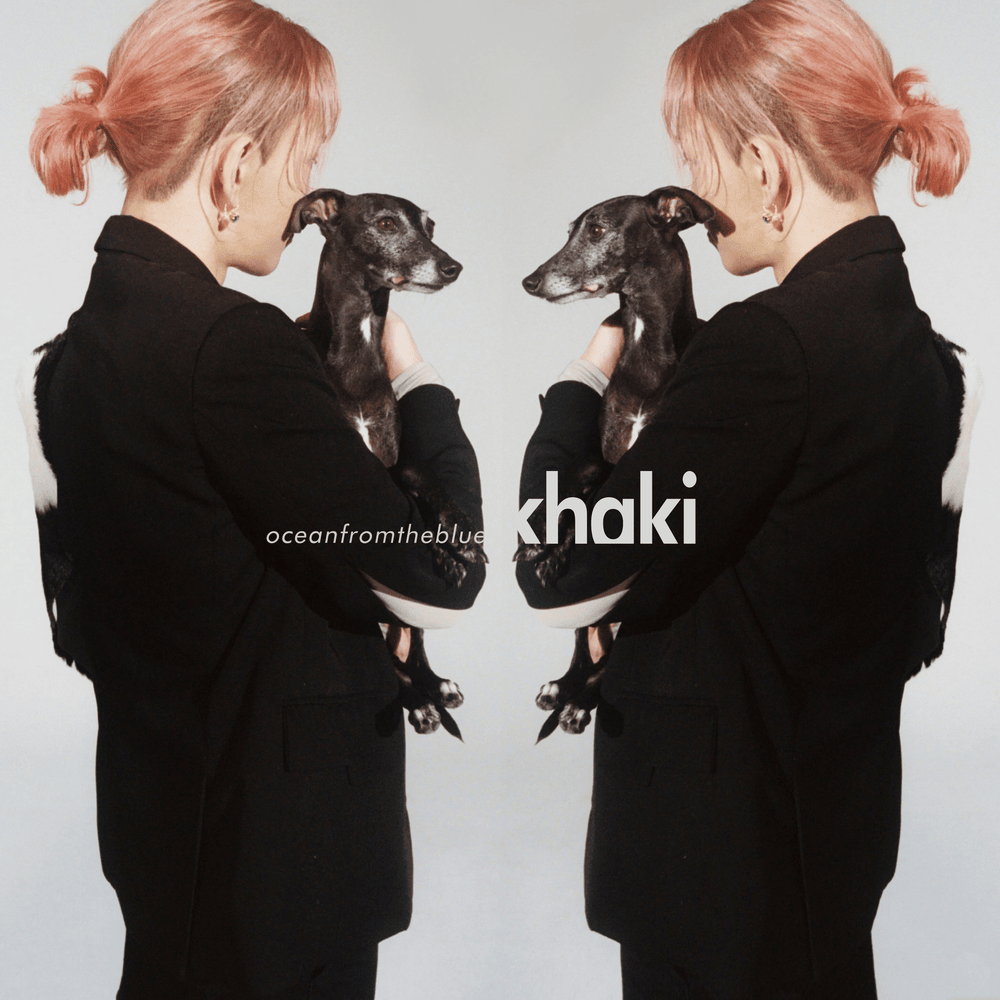 Cover image for khaki