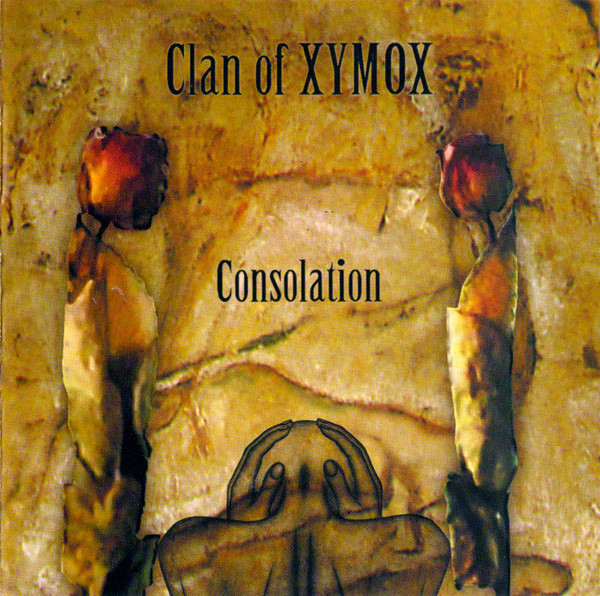 Cover image for Consolation
