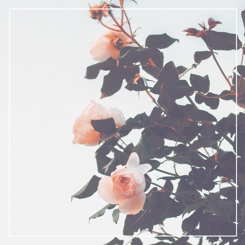 Album cover art for "Future Memories" by Kina Grannis