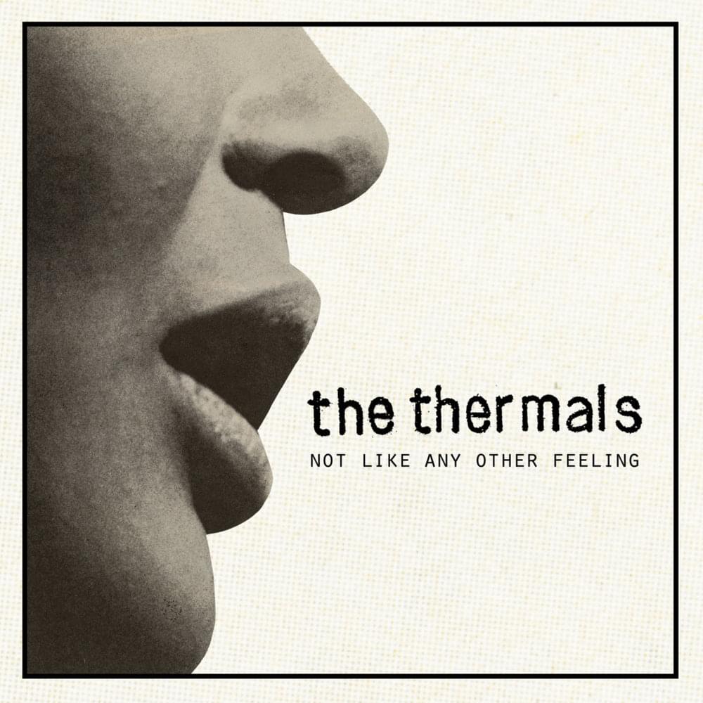 Album cover art for "Not Like Any Other Feeling" by The Thermals
