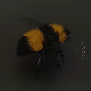 Album cover art for "Pure" by Kojey Radical