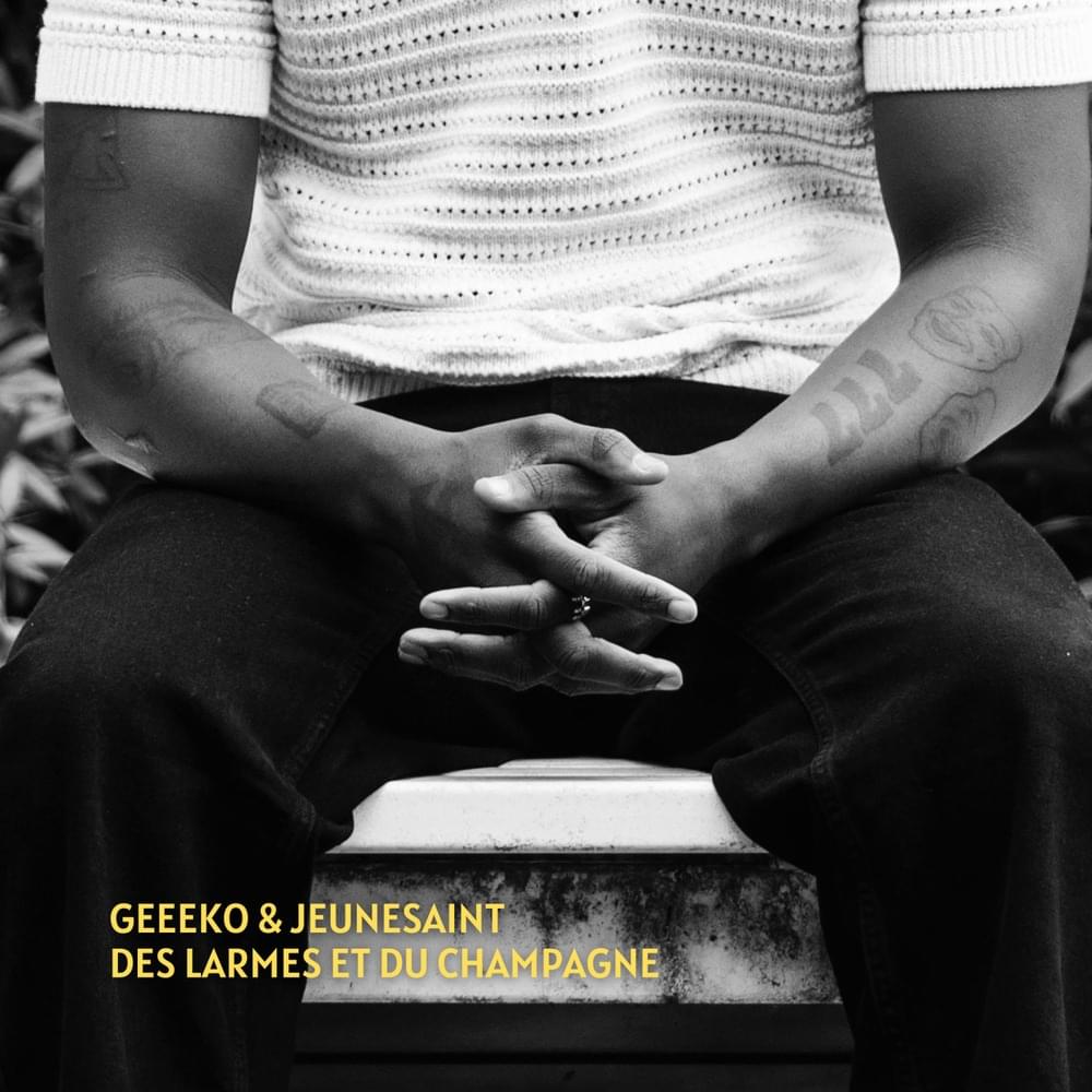 Album cover art for "DES LARMES ET DU CHAMPAGNE" by Geeeko