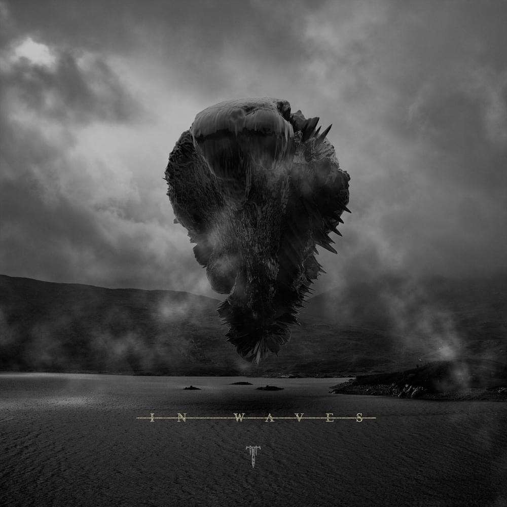 Cover image for In Waves