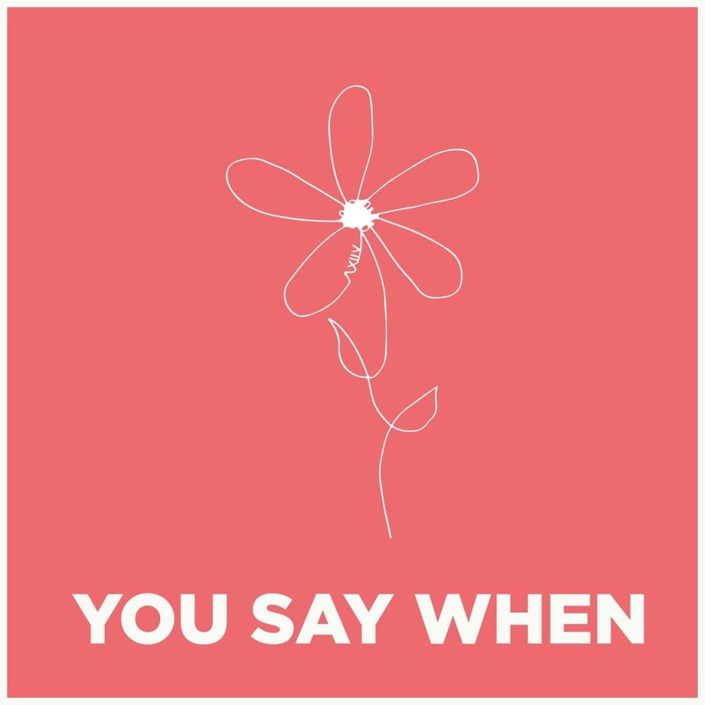 Album cover art for "You Say When" by As December Falls