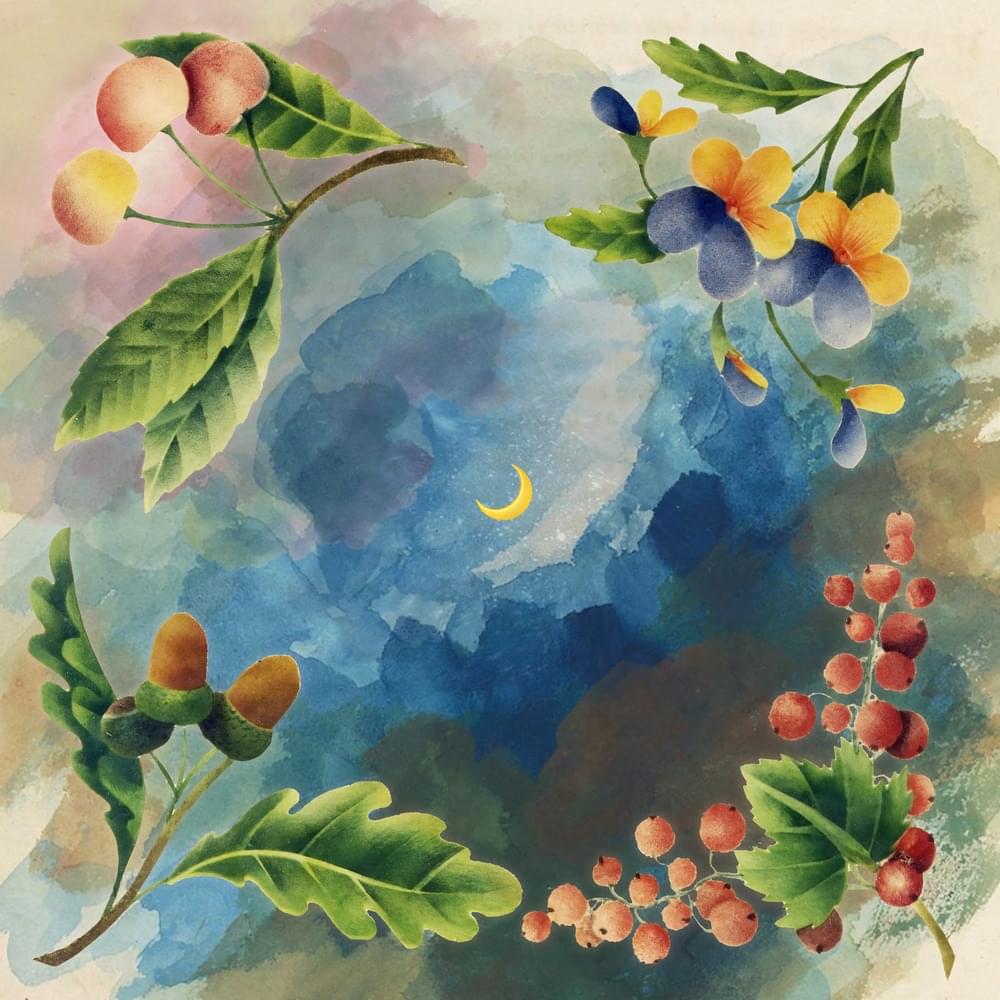 Cover image for Midnight Tangerine