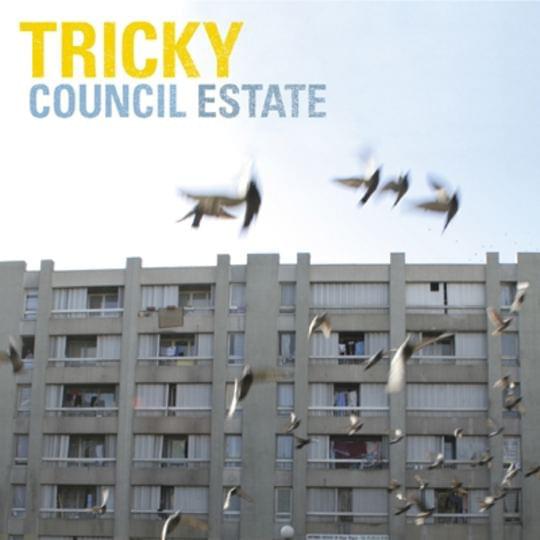 Album cover art for "Council Estate" by Tricky