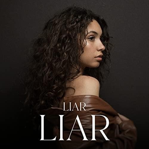 Cover image for Liar Liar