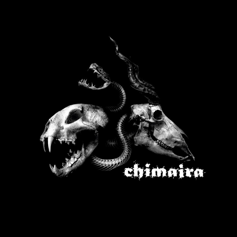 Eyes of a Criminal (Live) by Chimaira