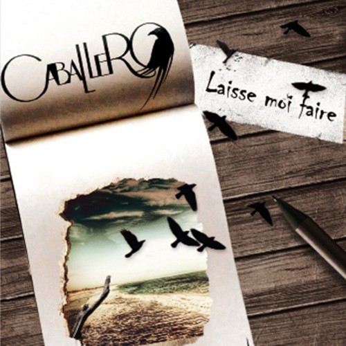 Cover image for Laisse moi faire