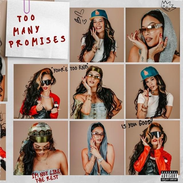Cover image for Too Many Promises