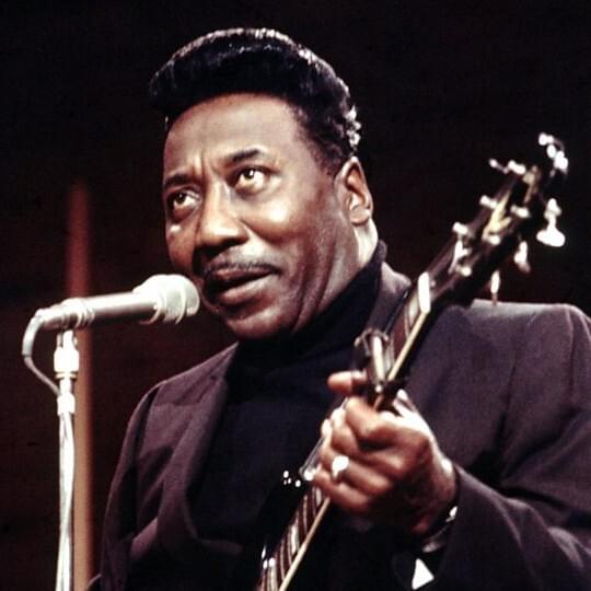 Cover image for Muddy Waters