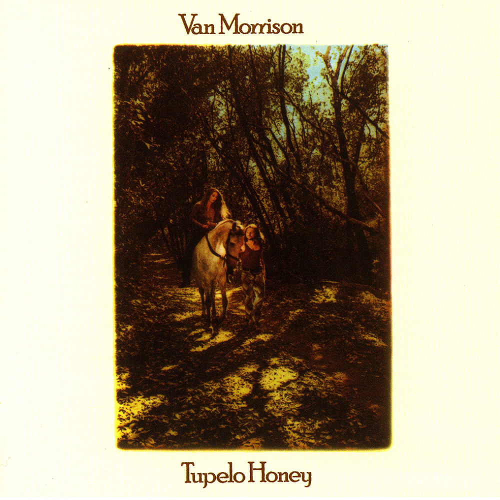 Album cover art for "Wild Night" by Van Morrison
