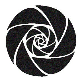 Cover image for SUBVERSO