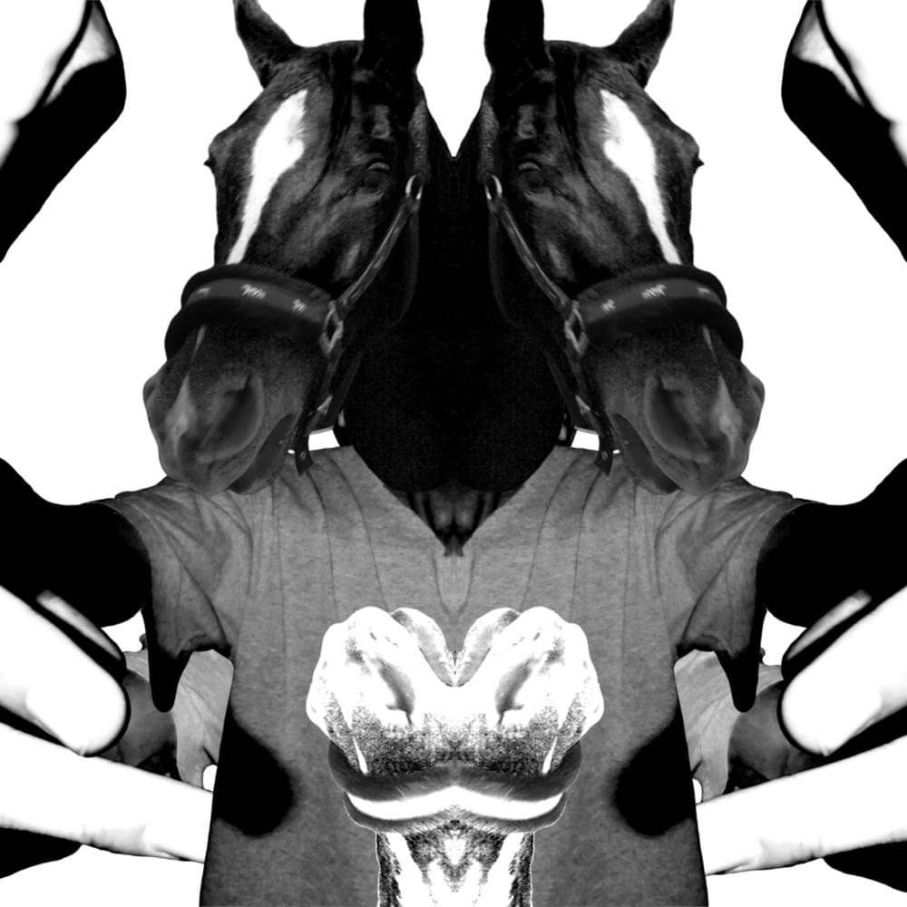 Cover image for Krótko