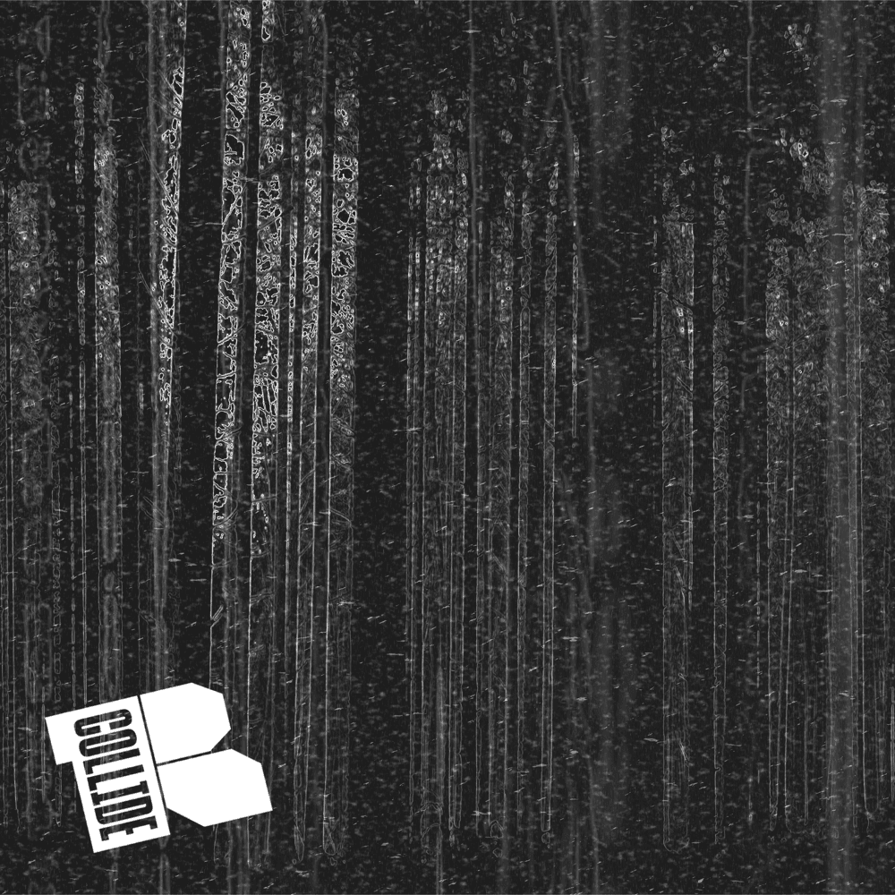 Cover image for COLLIDE SESSION #6 - EKKSTACY