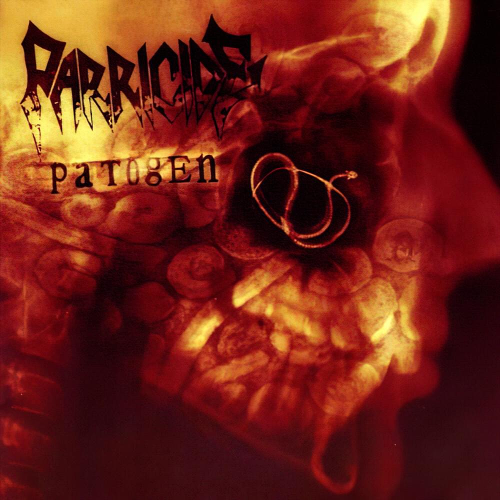 Album cover art for "Politics" by Parricide