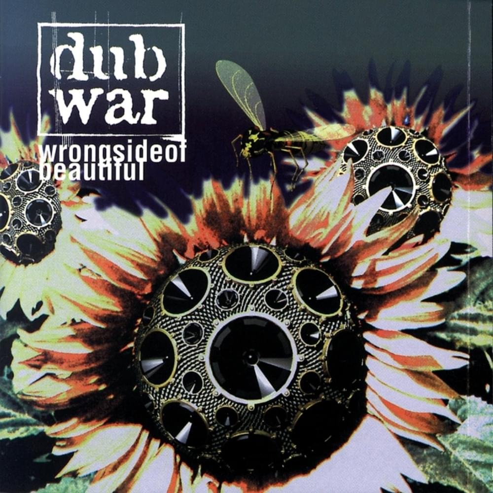 Can’t Stop by Dub War