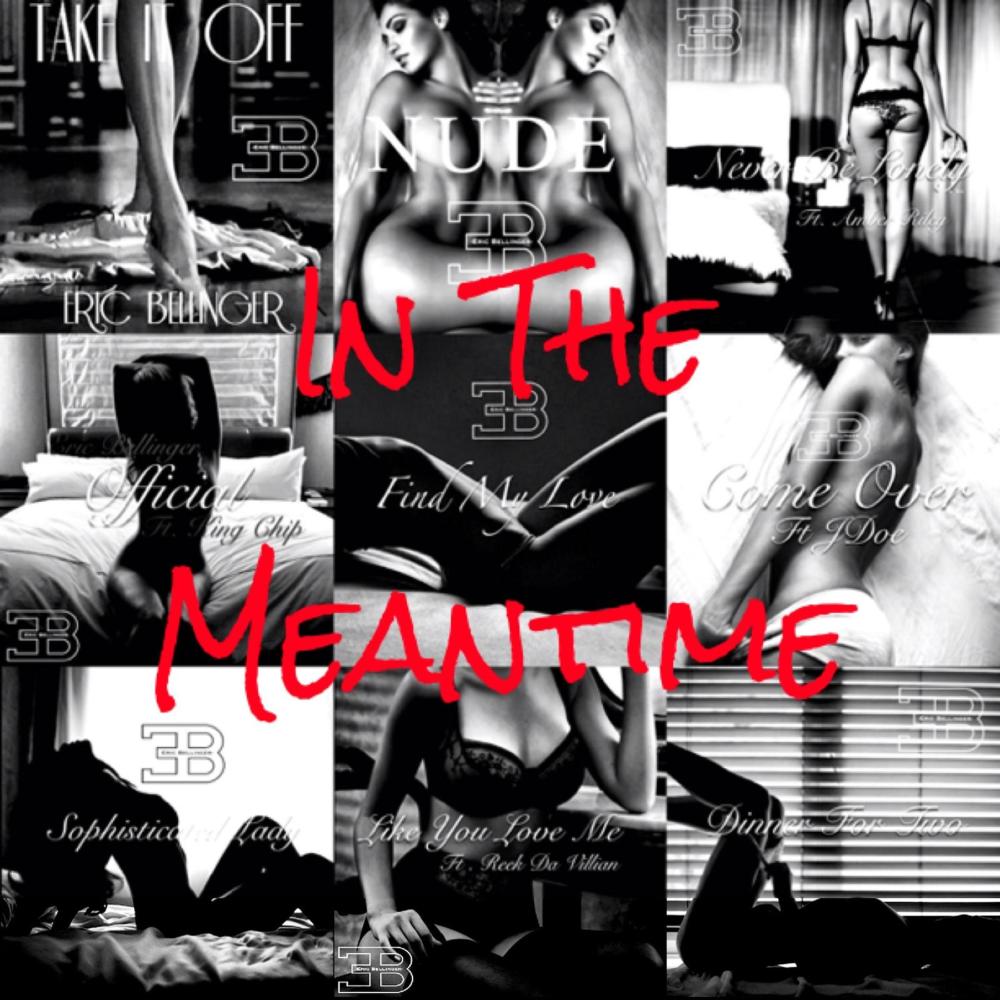 Cover image for In the Meantime