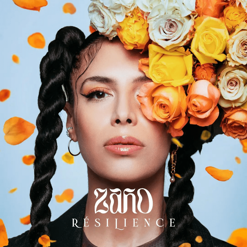 Cover image for Résilience