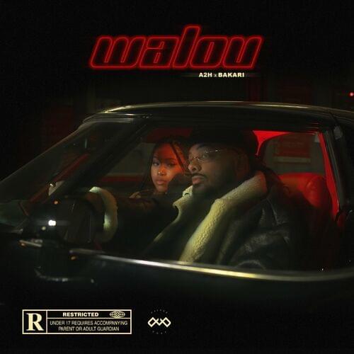 Album cover art for "Walou" by A2H & Bakari