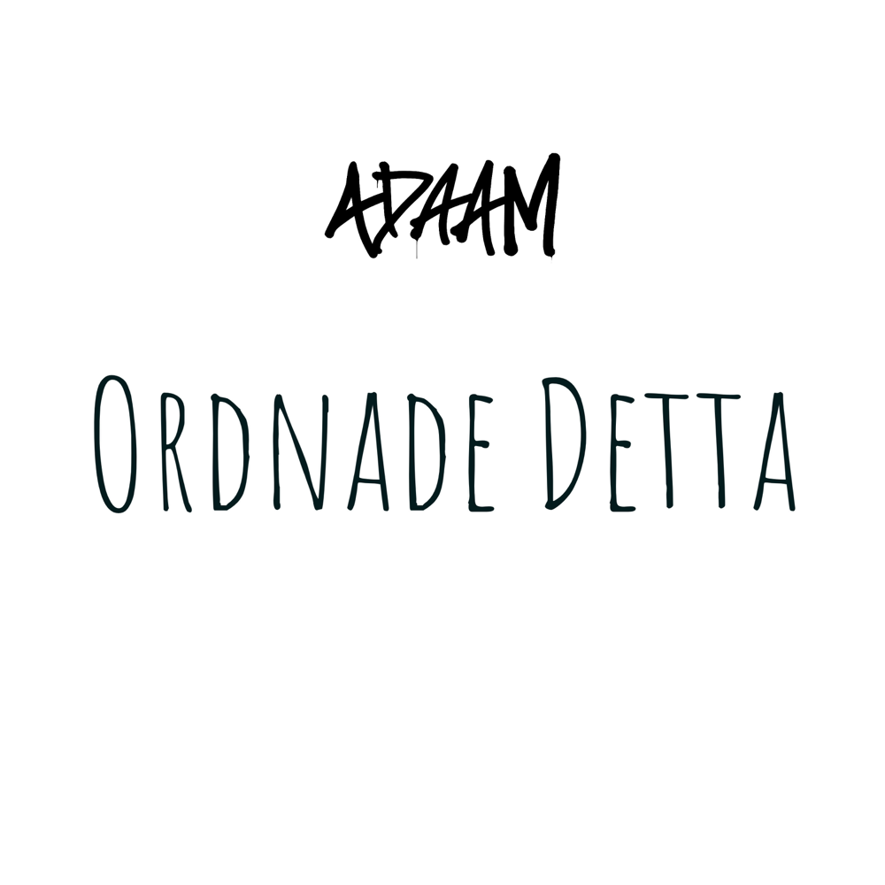 Cover image for Ordnade Detta
